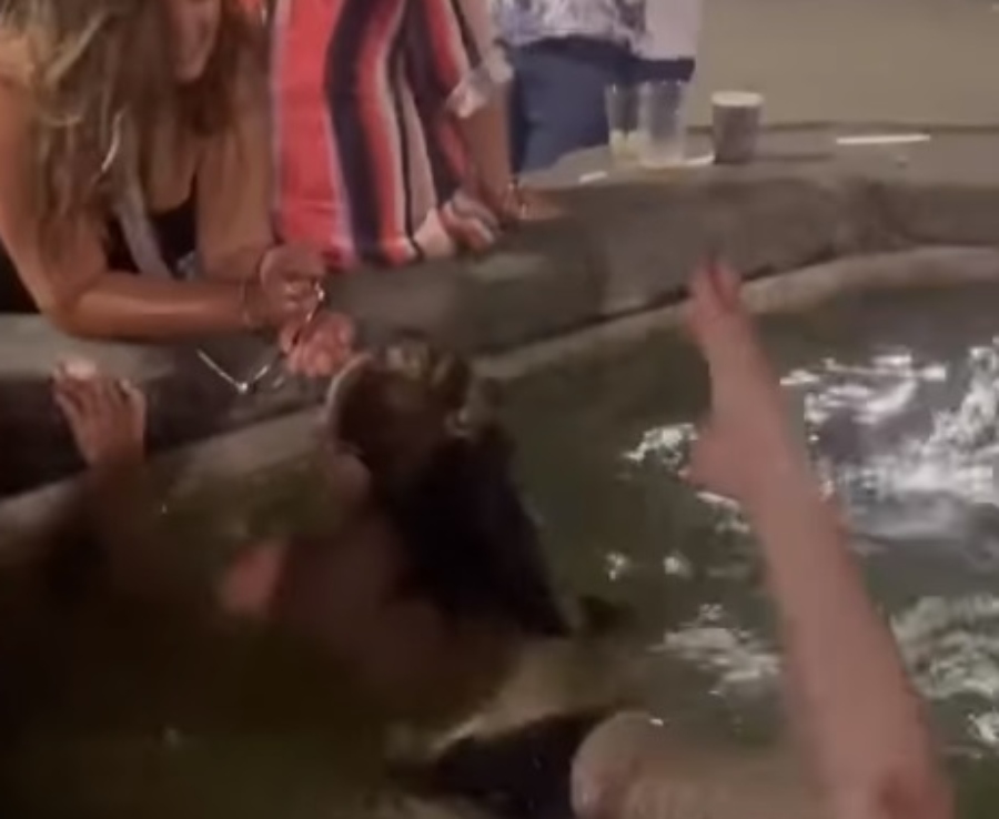 Φλωρεντία: Γυναίκα βούτηξε topless σε σιντριβάνι για βραδινό μπάνιο – Οι κάτοικοι είναι έξαλλοι [Δείτε το βίντεο]