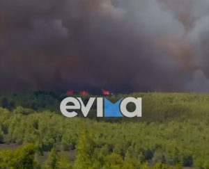 Φωτιά στην Εύβοια – Ήχησε το 112