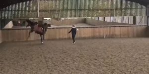 Σάλος με «χρυσή» Ολυμπιονίκη ιππασίας – Σοκάρει βίντεο που μαστιγώνει άλογό της