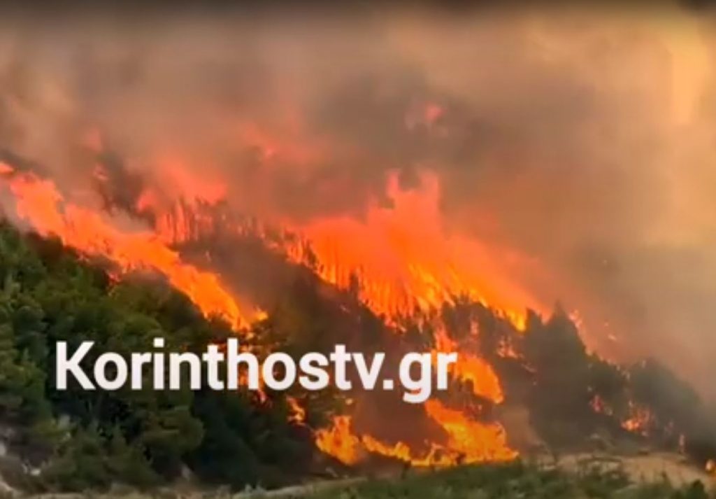 Φωτιά στην Κορινθία: Ανεξέλεγκτο το πύρινο μέτωπο πλησιάζει το χωριό Κούτσι Νεμέας