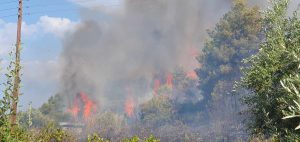 Κορινθία: Φωτιά σε αγροτική έκταση στην περιοχή Μελίσσι