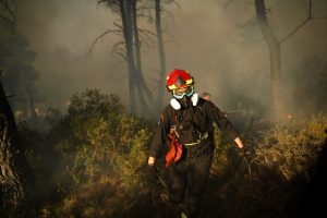 Φωτιά στην Κω: Στη μάχη επίγειες δυνάμεις της Πυροσβεστικής