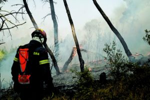 Η Ελλάδα των πολλών (άνισων) ταχυτήτων στην πρόληψη των πυρκαγιών