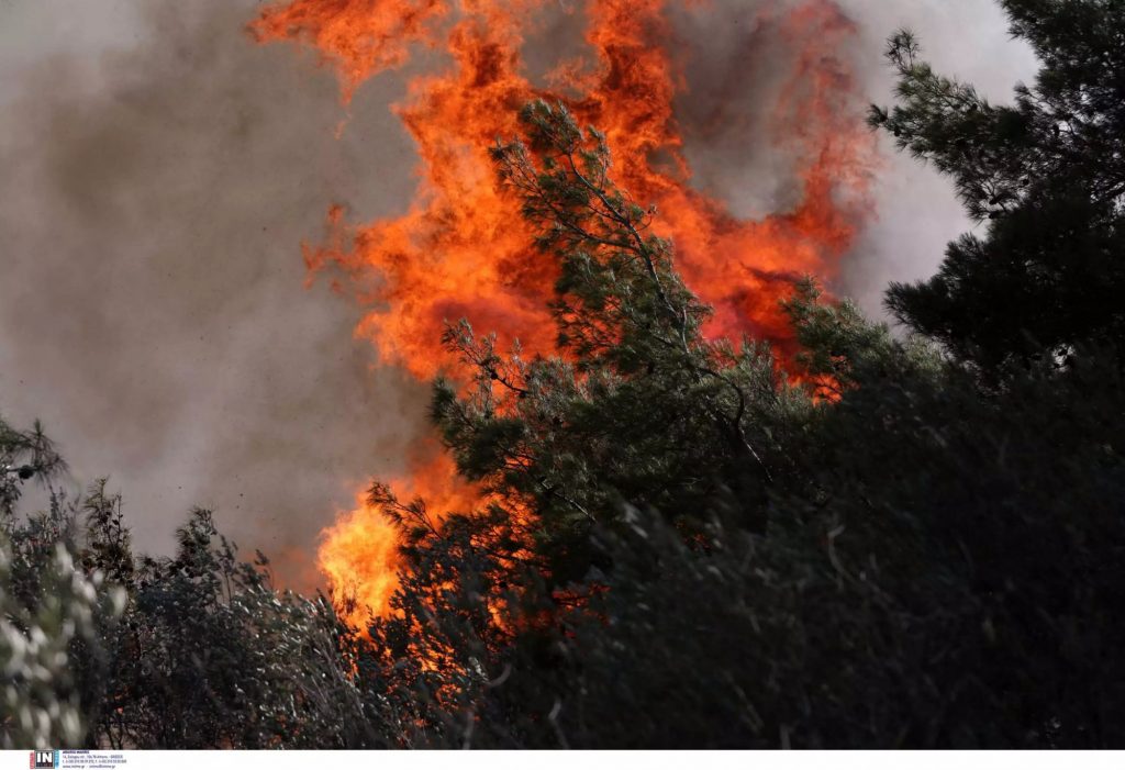 Κιλκίς: Αναζωπυρώθηκε η φωτιά στο Πολύκαστρο – Κοντά σε στρατιωτικές εγκαταστάσεις οι φλόγες