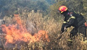 Πολύ υψηλός ο κίνδυνος φωτιάς την Κυριακή – Οι περιοχές που βρίσκονται στο «πορτοκαλί»