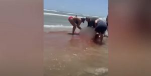 Τέξας: Επίθεση καρχαρία σε γυναίκα – Η θάλασσα βάφτηκε κόκκινη