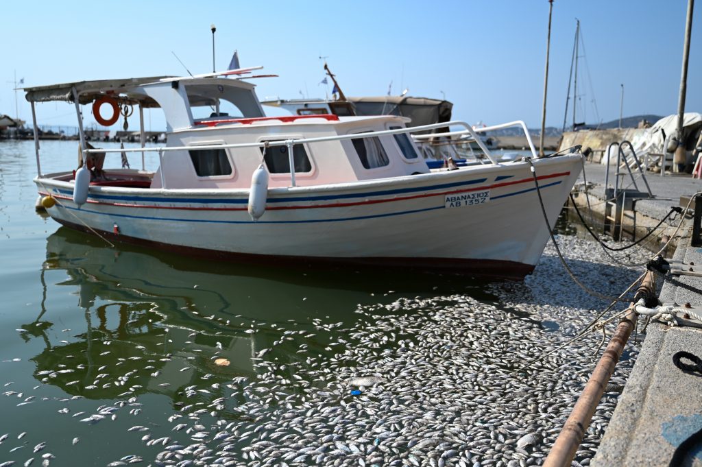 Παρέμβαση του Αρείου Πάγου για τα νεκρά ψάρια στον Παγασητικό