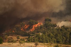 Φωτιά στην Αττική: Μήνυμα 112 για εκκένωση στο Σπατατζίκι Μαραθώνα