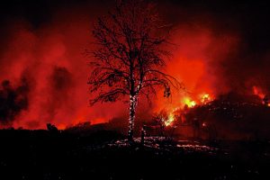 Αμείλικτα ερωτήματα και ευθύνες