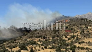 Καίει ανεξέλεγκτα η φωτιά στο Ρέθυμνο – Μπαράζ 112, εκκενώνονται περιοχές