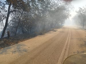 Φωτιά στην Αττική: Μήνυμα εκκένωσης στο Σουφάνι Μαραθώνα προς Νέα Μάκρη