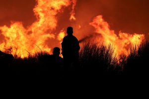 Φωτιά στην Αττική: Μέριμνα για τα ζώα συντροφιάς – Πού μπορούν να απευθυνθούν οι πυρόπληκτοι