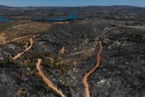 Νέα Αριστερά: «Πέντε χρόνια ΝΔ, πέντε χρόνια στάχτες…»