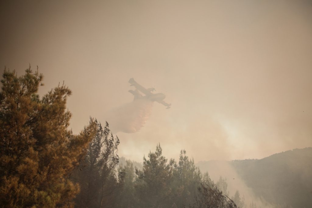 Φωτιά σε δασική έκταση στην Αιτωλοακαρνανία – Επιχειρούν εναέρια