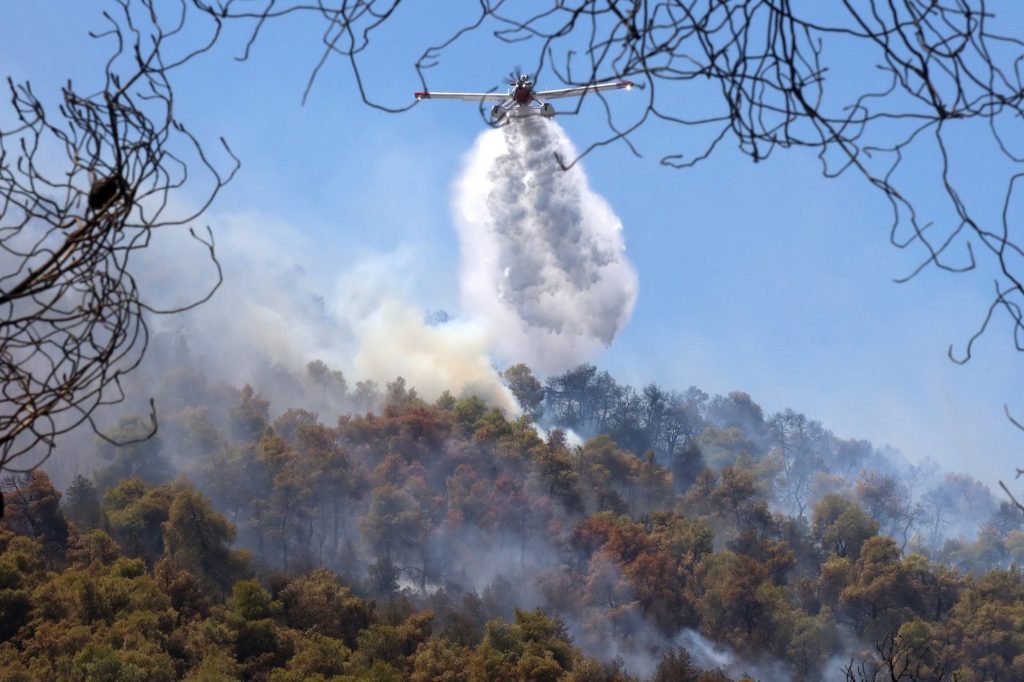 Φωτιά στην Εύβοια: Φαίνεται να προκλήθηκε από γεράκι που στάθηκε σε ηλεκτροφόρα καλώδια