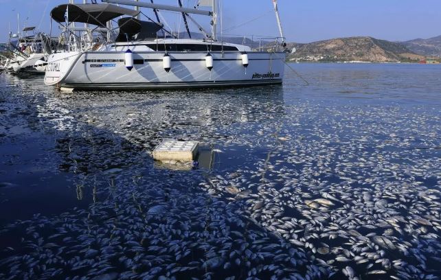 «Ταφόπλακα» η μόλυνση του Παγασητικού για τους επαγγελματίες – Ερώτηση ΣΥΡΙΖΑ στη Βουλή