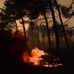 Φωτιά στην Αττική: Πύρινος εφιάλτης στην βορειοανατολική Αττική: Ανεξέλεγκτη η κατάσταση – Όλες οι εξελίξεις