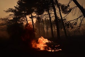 Φωτιά στην Αττική: Πύρινος εφιάλτης στην βορειοανατολική Αττική: Ανεξέλεγκτη η κατάσταση – Όλες οι εξελίξεις