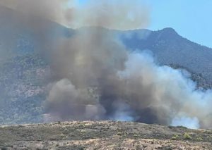 Φωτιά στα Μέγαρα: Καίει σε δασική έκταση στο Νέο Μάζι – Μήνυμα από το 112 για εκκένωση