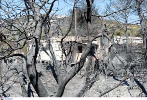 «Ευγνωμοσύνη σε όσους δίνουν τη μάχη»