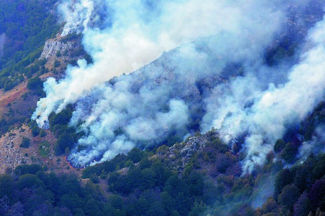 Στάχτη περισσότερα από 15.000 στρέμματα δάσους