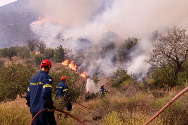 Πυρκαγιά σε δασική έκταση στην Ερέτρια