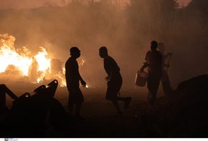 Φωτιά στην Αττική: Καμένη γυναίκα στο Πάτημα Χαλανδρίου