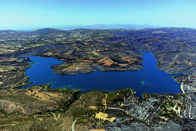 Οι 10 λόγοι που καίγονται τα δάση