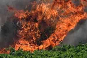 Συγγραφέας και διδάκτορας πανεπιστημίου ο συλληφθείς για τις φωτιές στη Βάρη – Πώς τον εντόπισαν