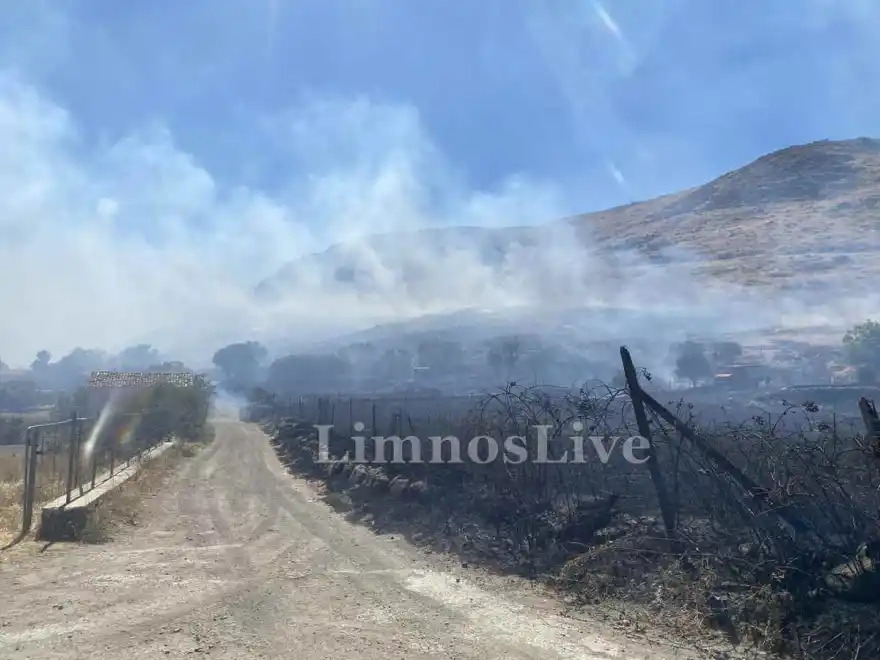 Φωτιά τώρα στη Λήμνο – Επιχειρούν και ενάερια μέσα