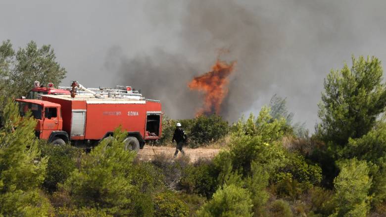 Φωτιά στην Αχαΐα – Επιχειρούν ισχυρές δυνάμεις της Πυροσβεστικής