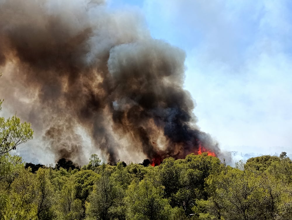 Για εμπρησμό συνελήφθη 80χρονος – Έβαλε τέσσερις φωτιές από πρόθεση στα Γλυκά Νερά