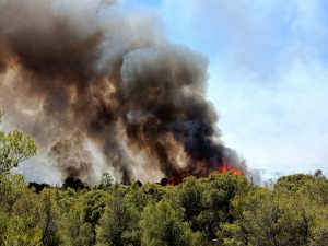 Οριοθέτηθηκαν οι φωτιές στις Δρυμάδες και την Πλαγιά Κόνιτσας