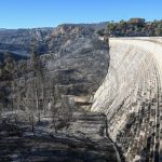 Κι όμως, αφήνουμε τα δάση να καίγονται – Αποκαλυπτικά στοιχεία για την πρόληψη πυρκαγιών