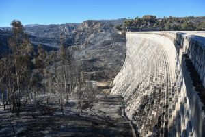 Κι όμως, αφήνουμε τα δάση να καίγονται – Αποκαλυπτικά στοιχεία για την πρόληψη πυρκαγιών