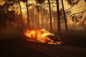 Φωτιά τώρα στον Βαρνάβα: Ανεξέλεγκτα τα μέτωπα – Κάρβουνο τα τελευταία δάση της Αττικής