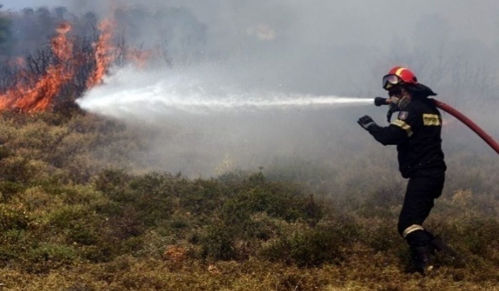 Φωτιά στο Τραχήλι Ευβοίας – Επιχειρούν ισχυρές δυνάμεις της Πυροσβεστικής