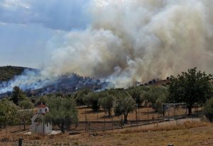 Ωρωπός: Συνελήφθη ηλικιωμένη για πρόκληση πυρκαγιών από πρόθεση και κατ’ εξακολούθηση