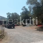 Ρέθυμνο: Σοκ από την αιματηρή επίθεση σε βάρος κτηνοτρόφου – Τι εξετάζουν οι Αρχές