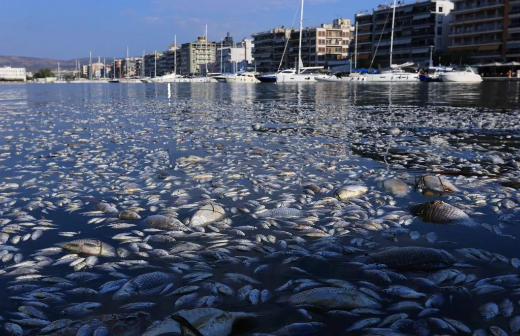 Βόλος: Κατάλληλα για κολύμπι τα νερά στον Παγασητικό – Τι λέει το Λιμεναρχείο