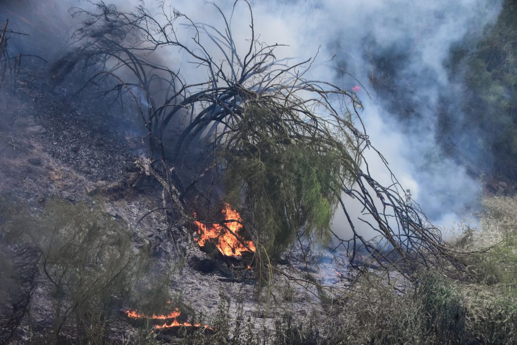 Μάνα και γιος στη φυλακή για τους εμπρησμούς στη Νέα Μάκρη