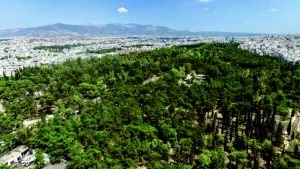 Ομηροι των δασικών χαρτών χιλιάδες ιδιοκτήτες