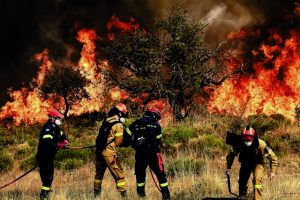 Στάχτη πάνω από 50.000 στρέμματα