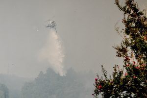 Ηλεία: Ανεξέλεγκτη η φωτιά στο Γεράκι Αμαλιάδας – Δύο νέα πύρινα μέτωπα στην περιοχή