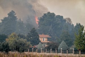 Ηλεία: Καλύτερη η εικόνα της φωτιάς στο Γεράκι – Η βροχή βοηθά τις πυροσβεστικές δυνάμεις