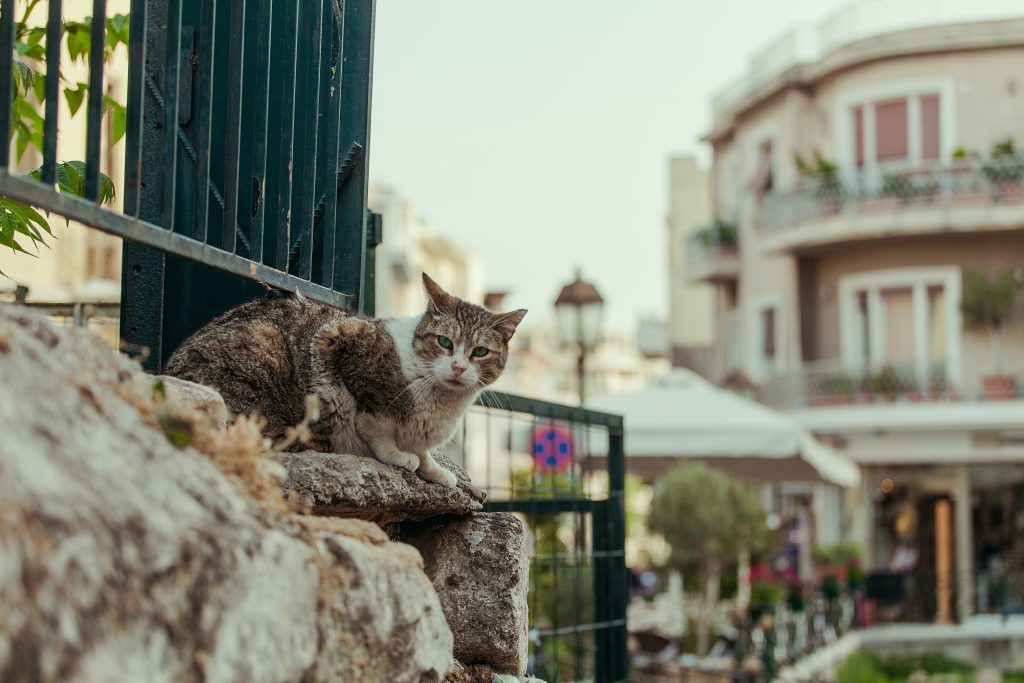 Περπάτημα μετ’ εμποδίων στην Πλάκα