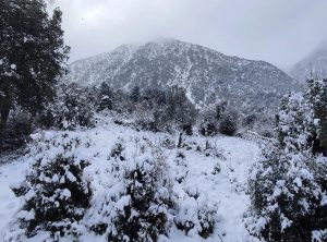 Η κακοκαιρία επιμένει: Παγετός, ισχυροί άνεμοι και κρύο – Πού θα «χτυπήσουν» τα έντονα καιρικά φαινόμενα