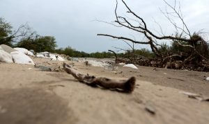 Κλιματική αλλαγή: Αυξάνονται καύσωνες και ξηρασία στην Ελλάδα